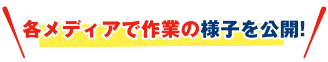 各メディア